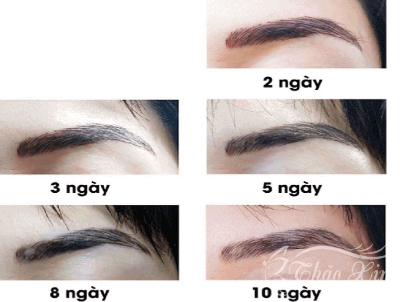 Chân mày điêu khắc sau 1 tuần và những điều bạn cần biết 12 Chân mày điêu khắc sau 1 tuần