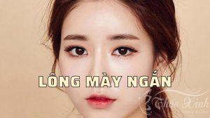 Lông mày ngắn